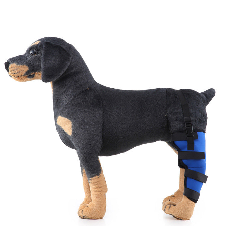 Leg rehabilitation foot support for pets